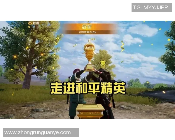 专访杨芳揭秘和平精英成功背后的策略与创新之路