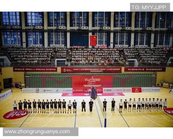 成都排球队在排球节奏排名中创下新高引发热议与期待