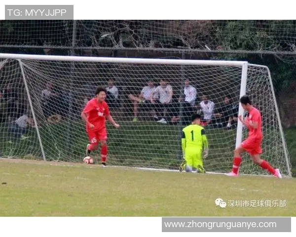 深圳排球队在欧锦赛中的实力展现与未来发展潜力分析 深圳排球队在欧锦赛中的实力展现与未来发展潜力分析