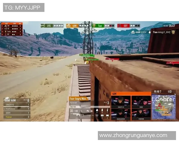 王丽的和平精英人生：从游戏新手到职业选手的成长之路