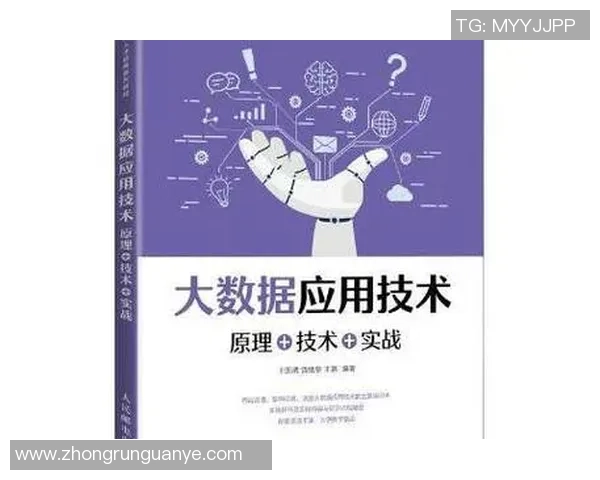 杭州排球队战术解析：聚焦球队战术创新与实战应用